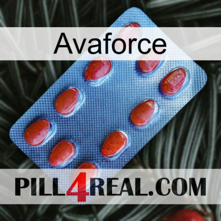 Avaforce 06